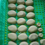 galets bel'olive démoulés à sécher
