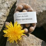 fort de kafé au jardin
