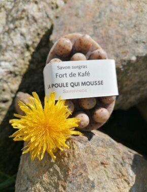 IMG_20220409_145158 fort de kafé au jardin