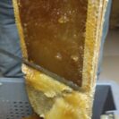 récolte de la cire d'opercule d'un rayon de cire