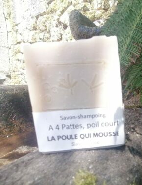 savon shampoing poil court