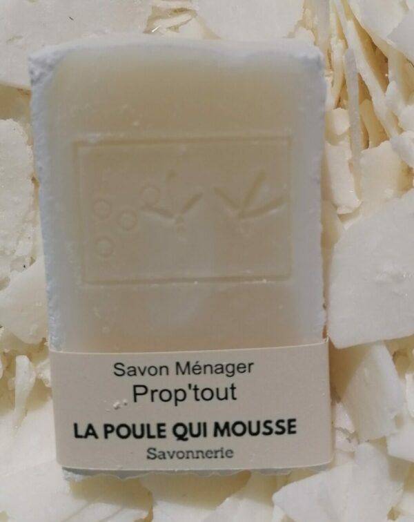 savon ménager en pain prop'tout en pain