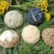 savon surgras coccinelles