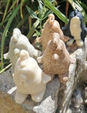 savons surgras poules