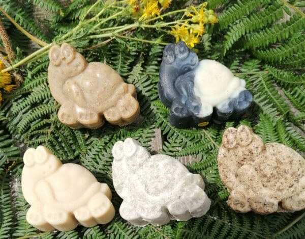 tortues les 5 savons surgras tortue