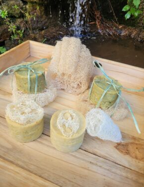 savon dans mon jardin