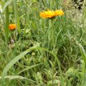 IMG_20250603_115252