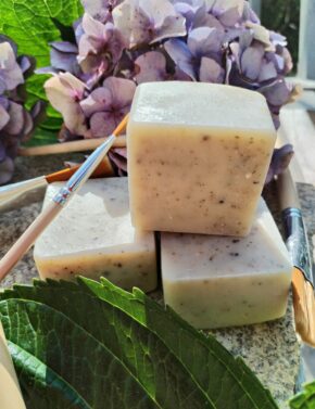 Savon pour pinceaux de l'artiste